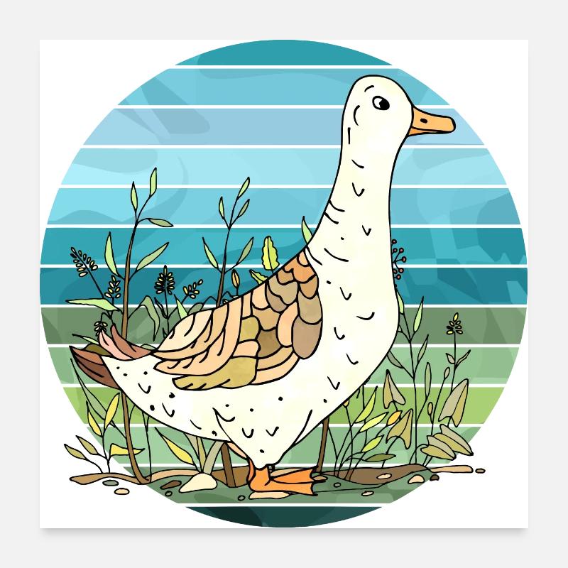 Canard Poster 60 x 60 cm