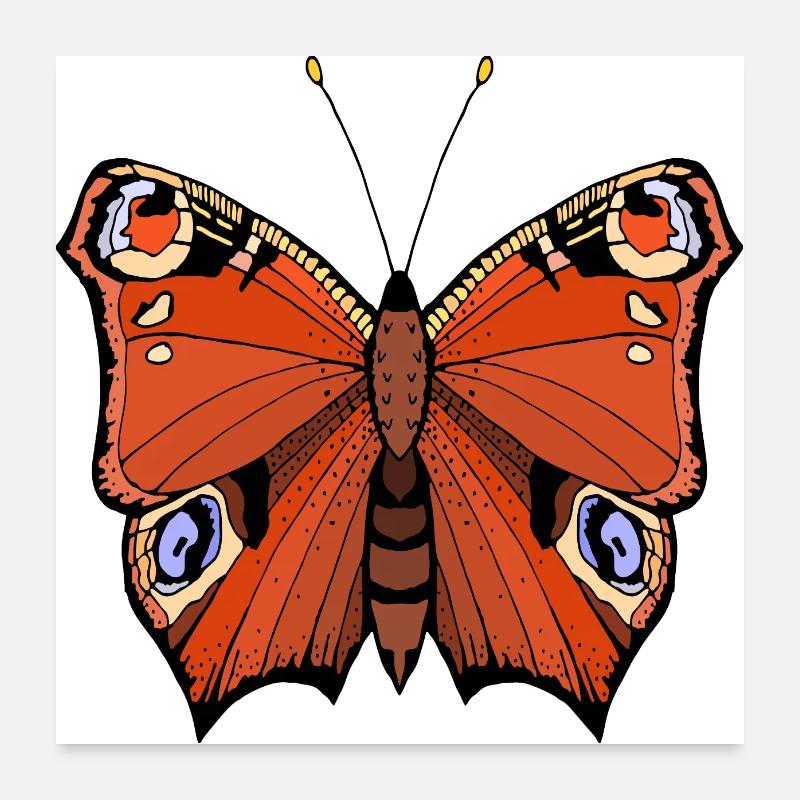 Papillon Poster 60 x 60 cm