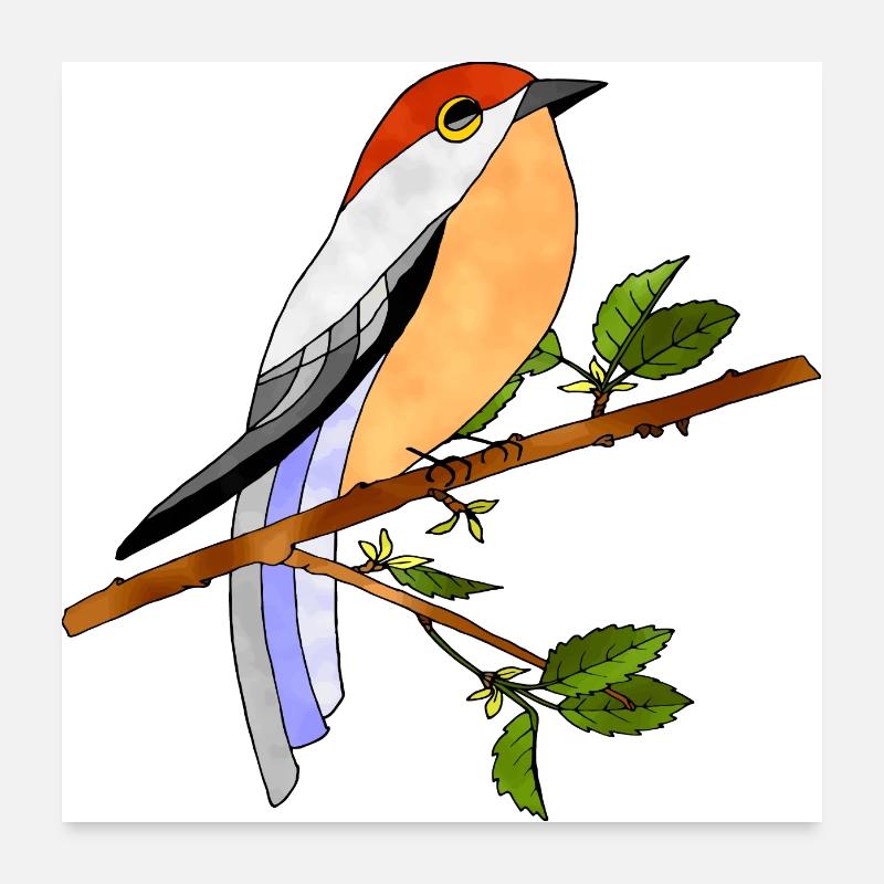 Oiseau Poster 60 x 60 cm