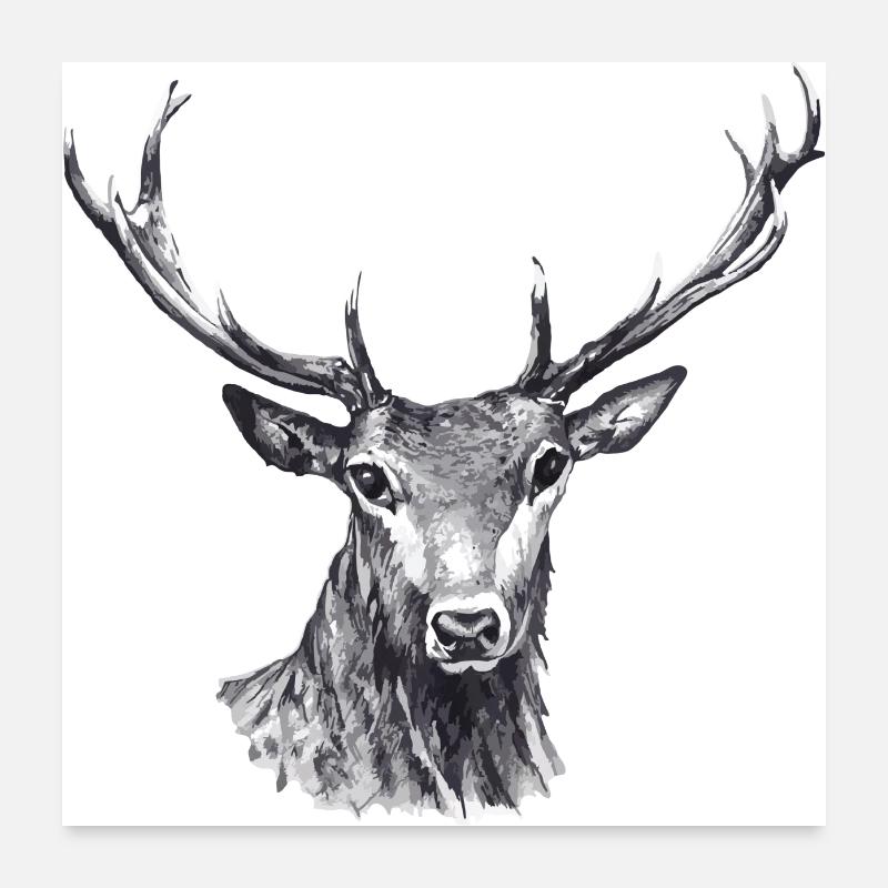 Cerf Poster 60 x 60 cm