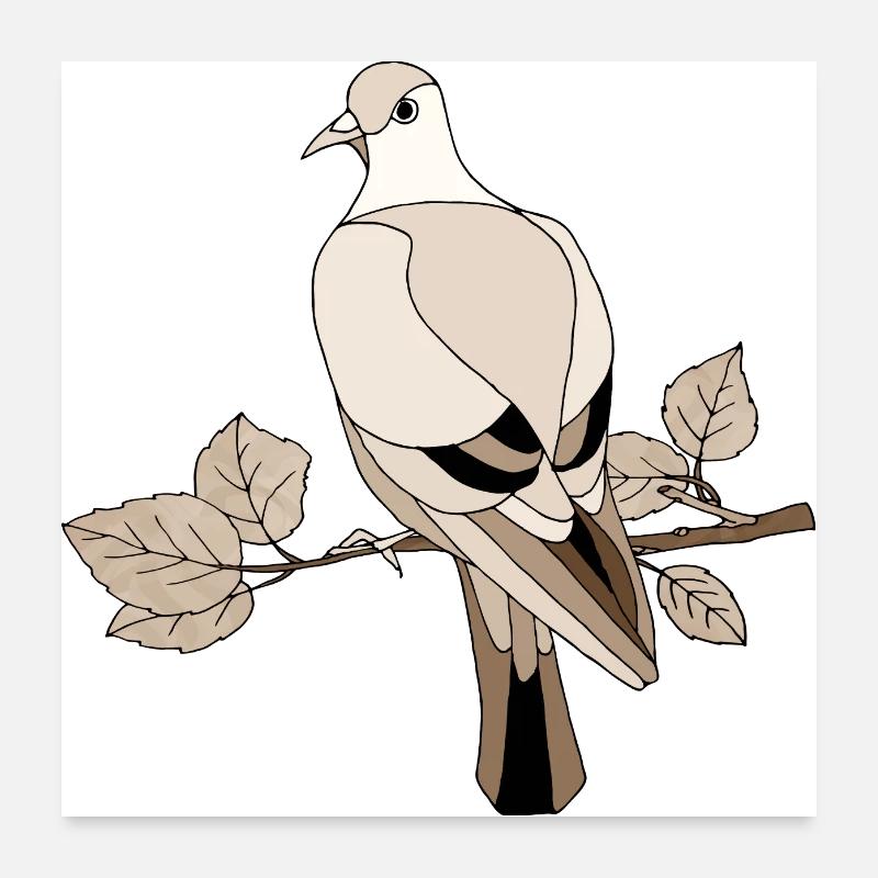 Vogel - Poster 60x60 cm - Weiß