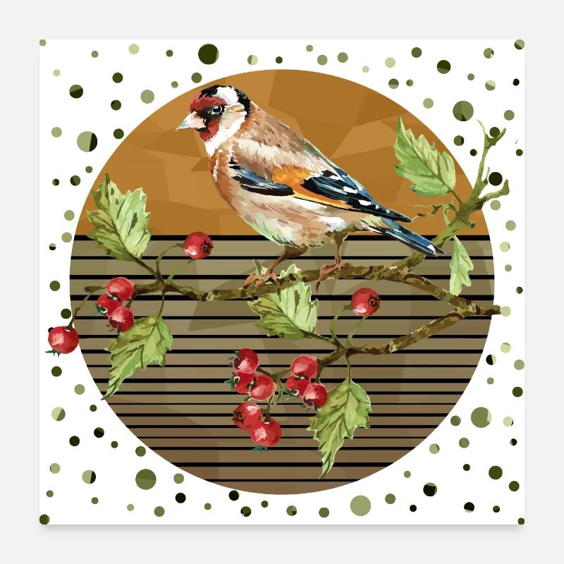 Oiseau coloré Poster 60 x 60 cm