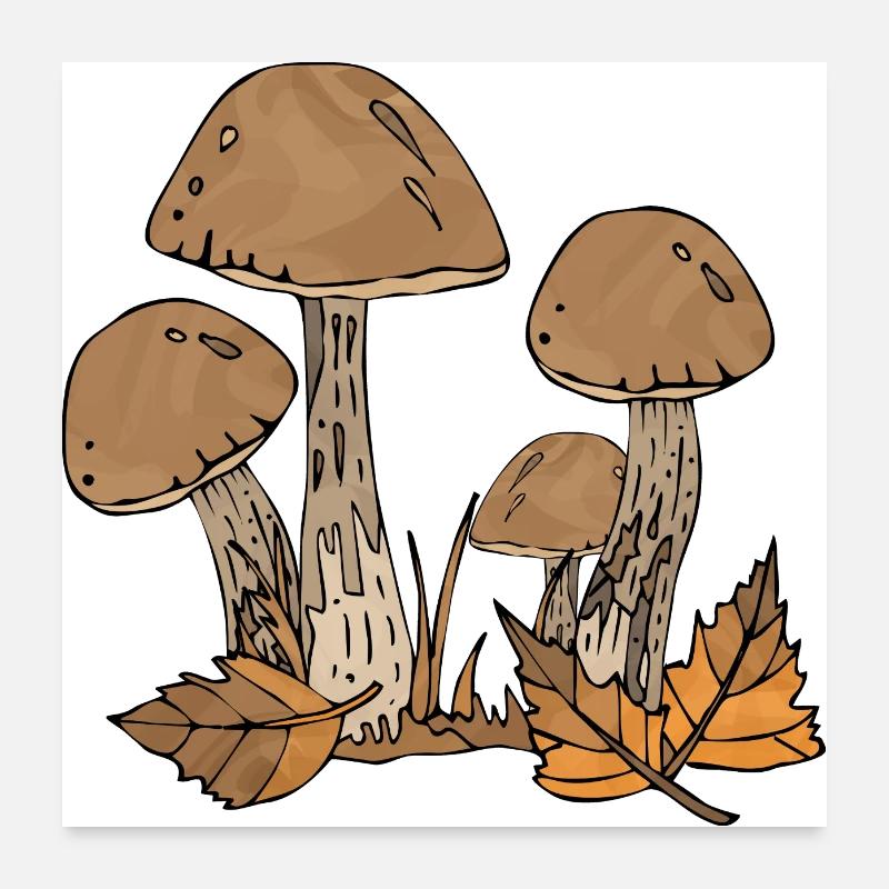 Pilze Poster 60x60 cm