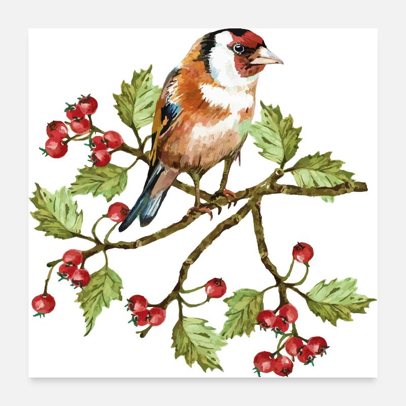 Oiseau coloré Poster 60 x 60 cm