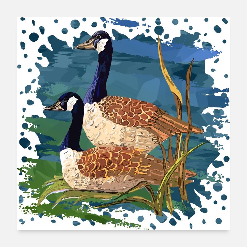 Vögel Poster 60x60 cm