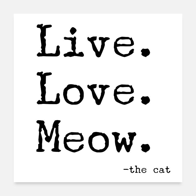 Live Love Meow Poster 60 x 60 cm
