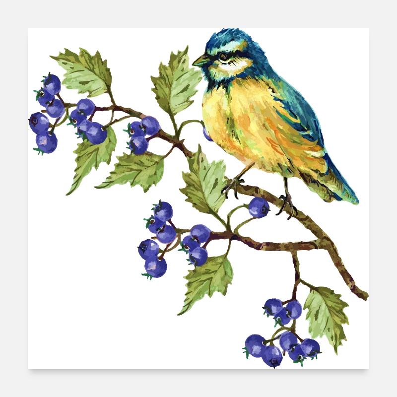 Bunter Vogel Poster 60x60 cm