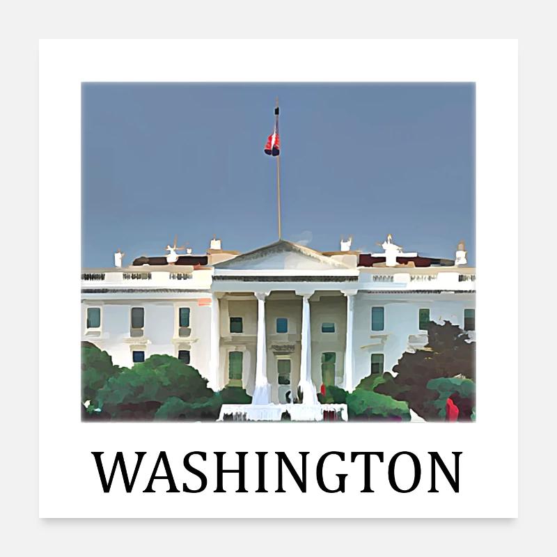 Washington D.C. Poster 60x60 cm