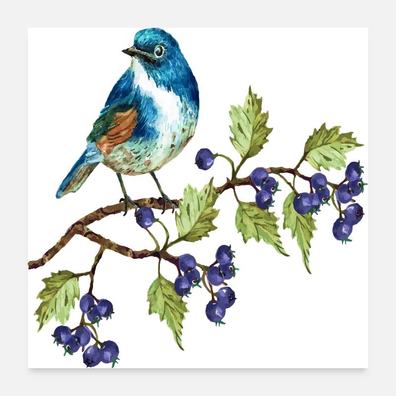 Bunter Vogel Poster 60x60 cm
