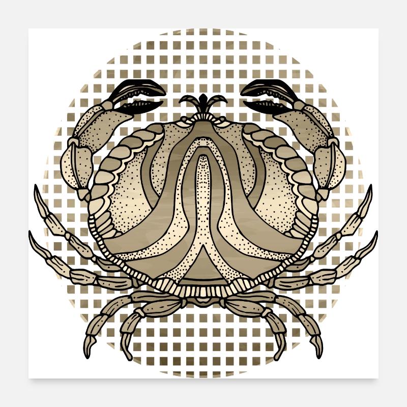 Krabbe Poster 60x60 cm