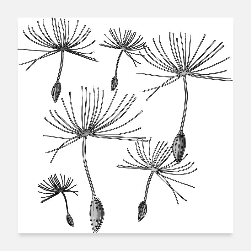 Dandelions Poster 24" x 24" (60x60 cm)