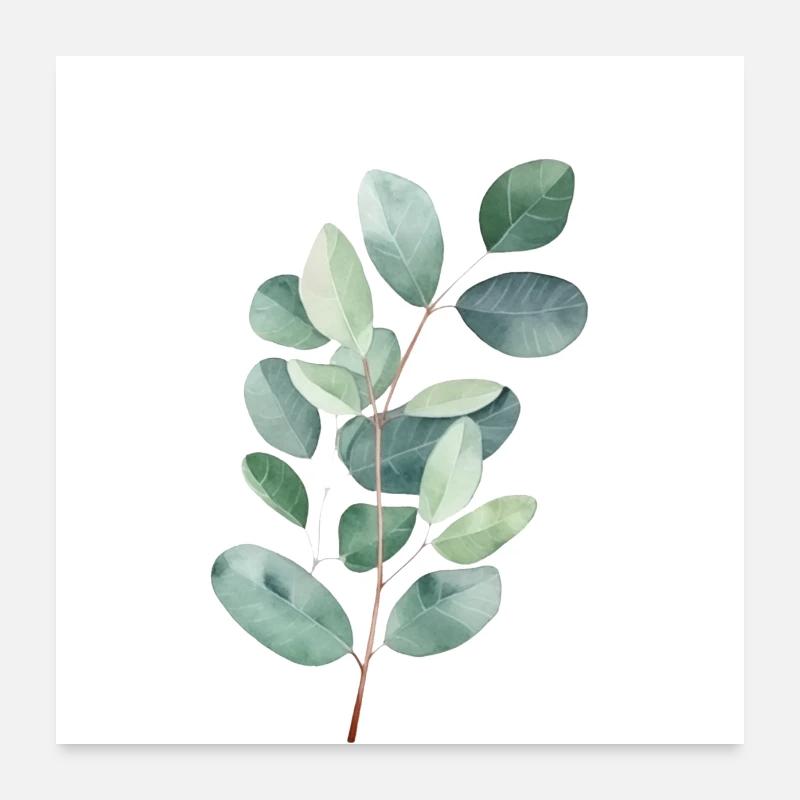 Eukalyptus - Poster 60x60 cm - Weiß