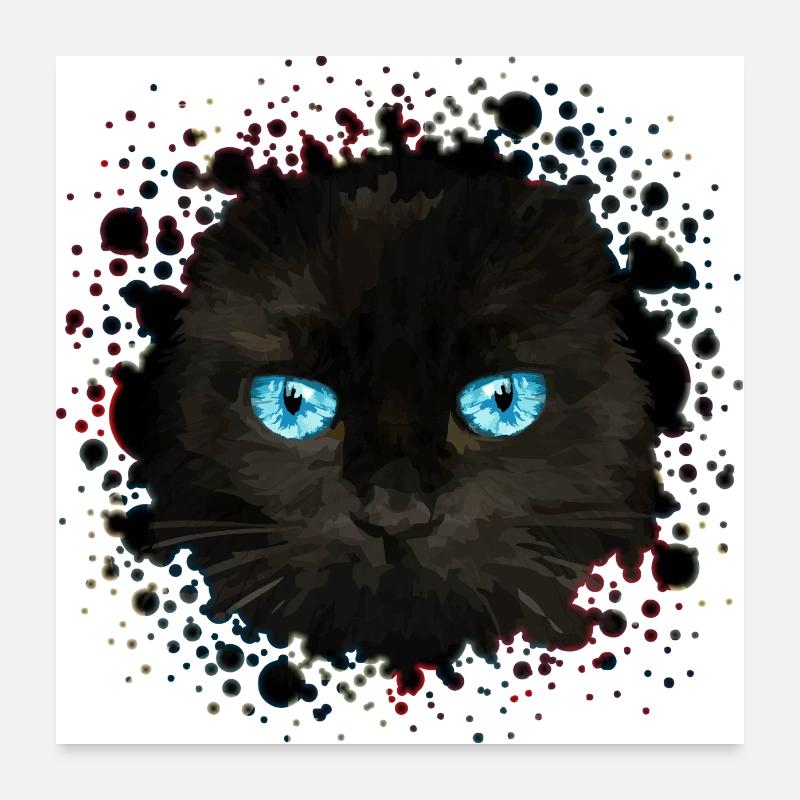 Katze - Poster 60x60 cm - Weiß