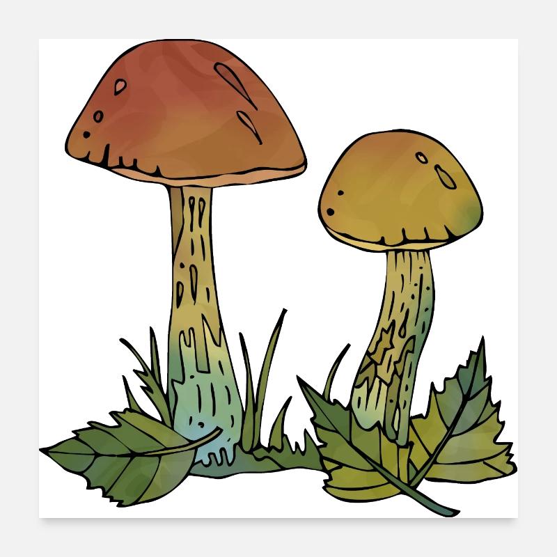 Pilze - Poster 60x60 cm - Weiß