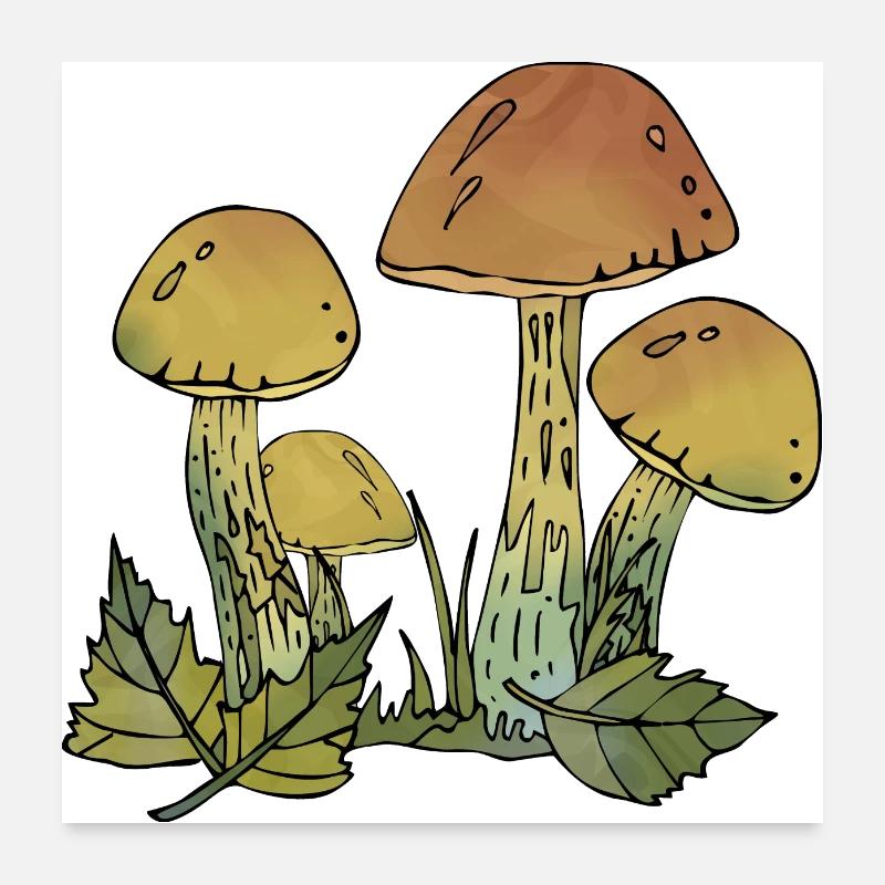 Mycètes Poster 60 x 60 cm