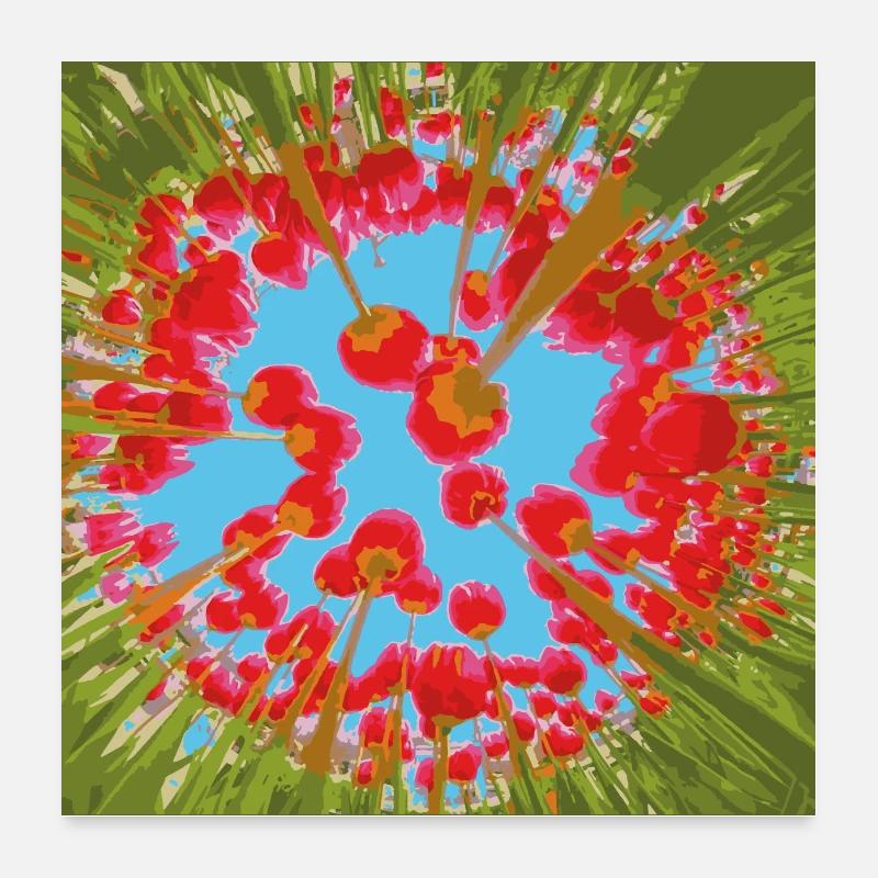 TULIPS Poster 24" x 24" (60x60 cm)