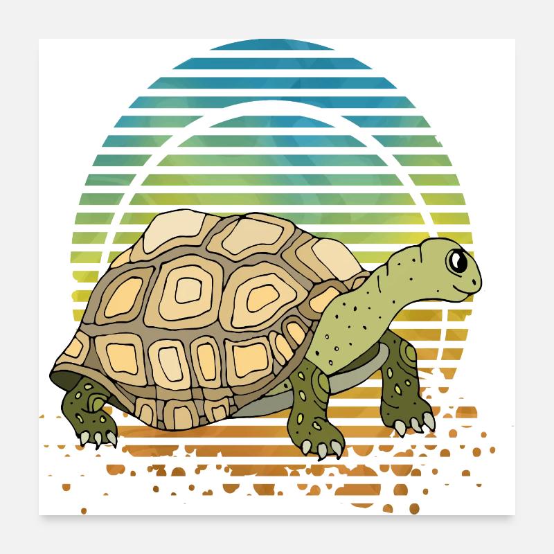 Tortue Poster 60 x 60 cm