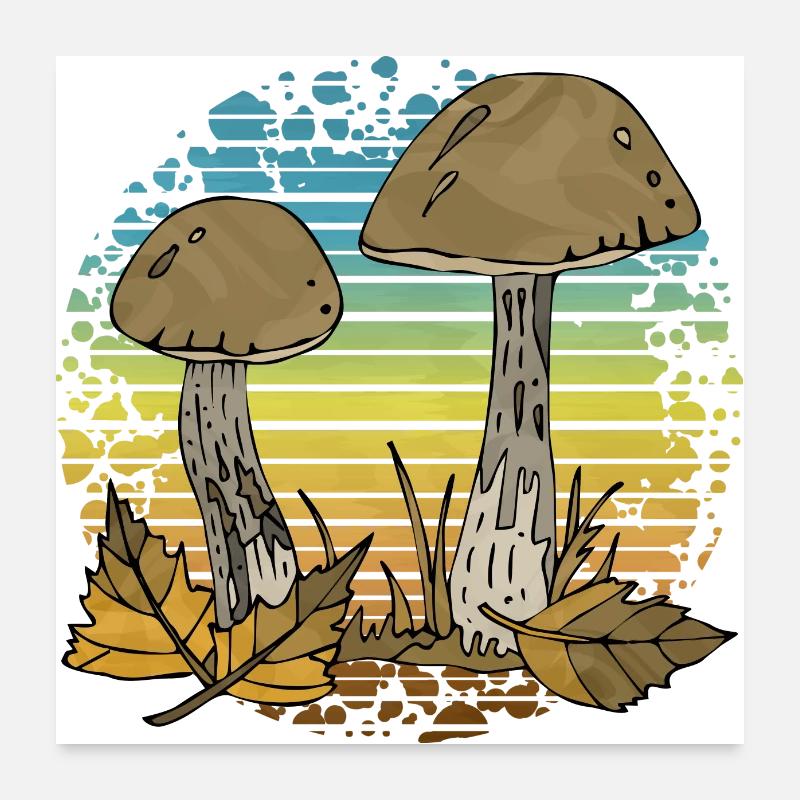 Pilze Poster 60x60 cm