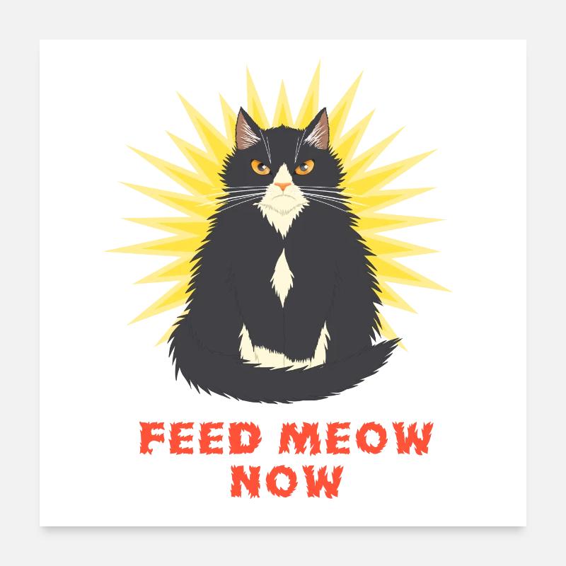 Feed Meow Now - Hangry Smoking Katze mit mürrischem Blick Poster 60x60 cm