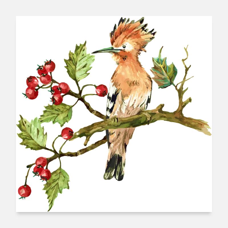 Oiseau coloré Poster 60 x 60 cm