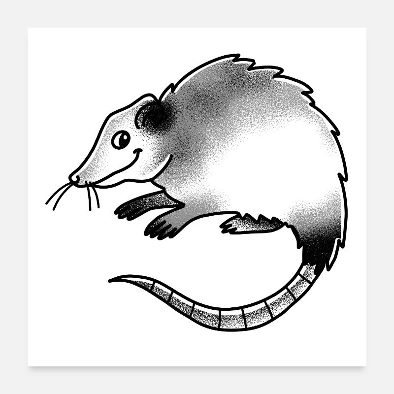 Mignon petit opossum opossum Poster 60 x 60 cm