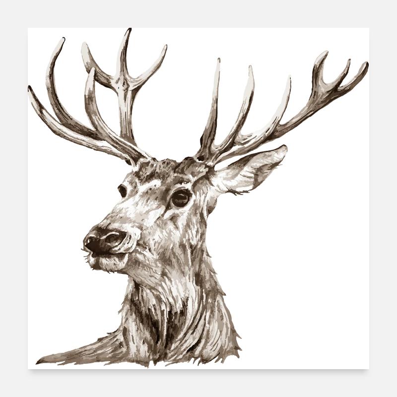 Hirsch Poster 60x60 cm