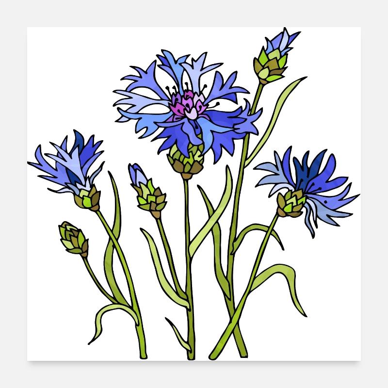 Blumen - Poster 60x60 cm - Weiß