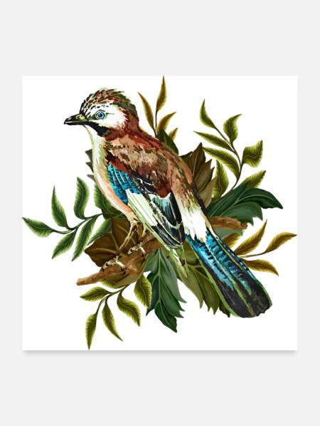 Bunter Vogel - Poster 60x60 cm - Weiß - Vorne