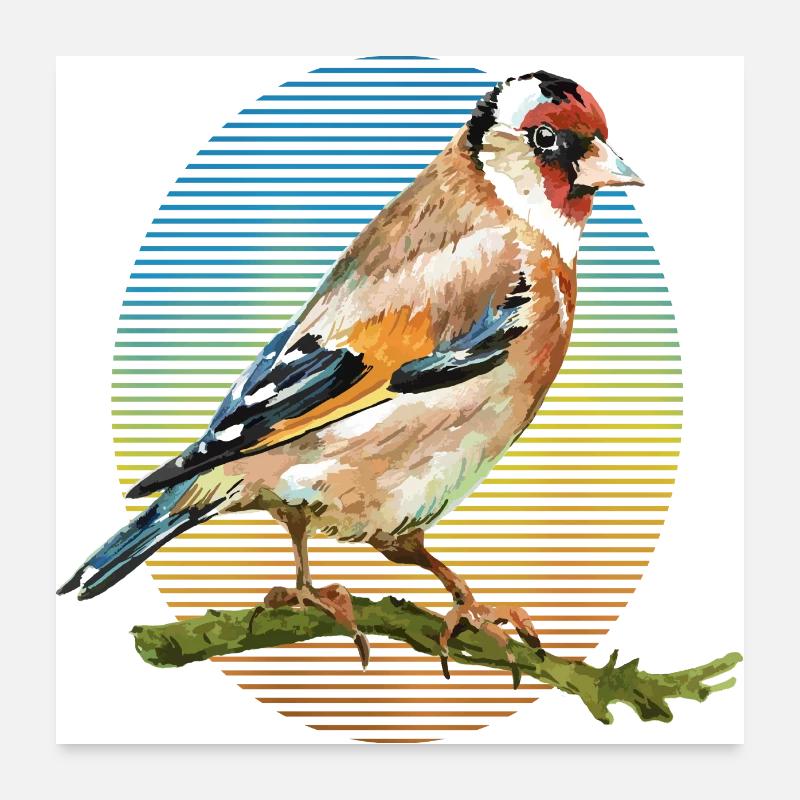 Colorful bird Poster 24" x 24" (60x60 cm)