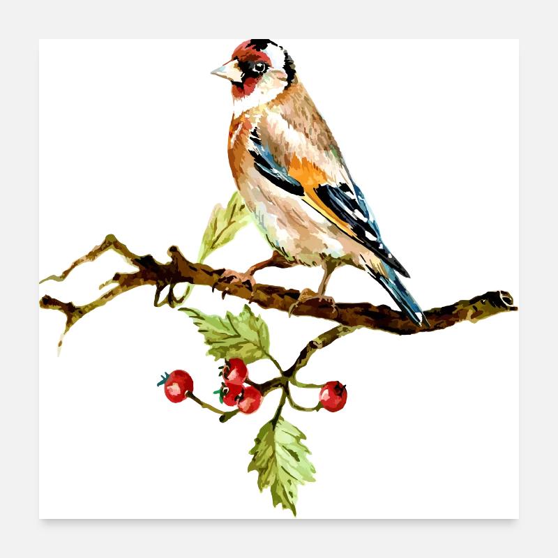 Oiseau coloré Poster 60 x 60 cm