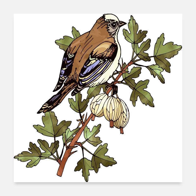 Oiseau coloré Poster 60 x 60 cm