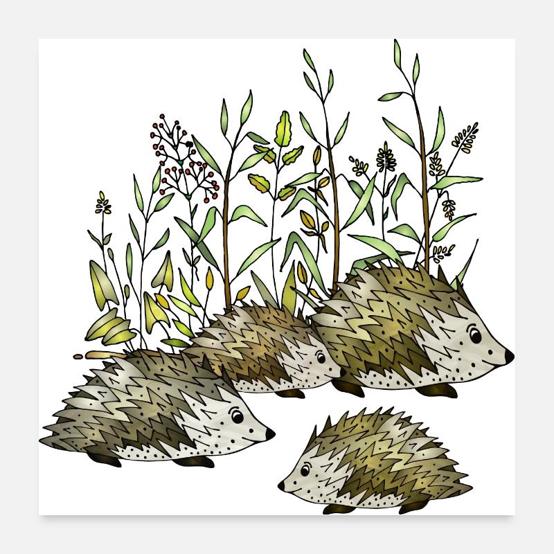 Hedgehogs Poster 24" x 24" (60x60 cm)