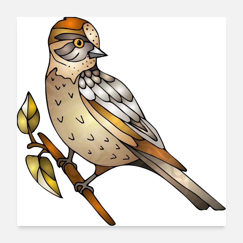 Oiseau coloré Poster 60 x 60 cm