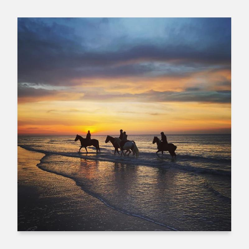 Hippocampes Poster 60 x 60 cm