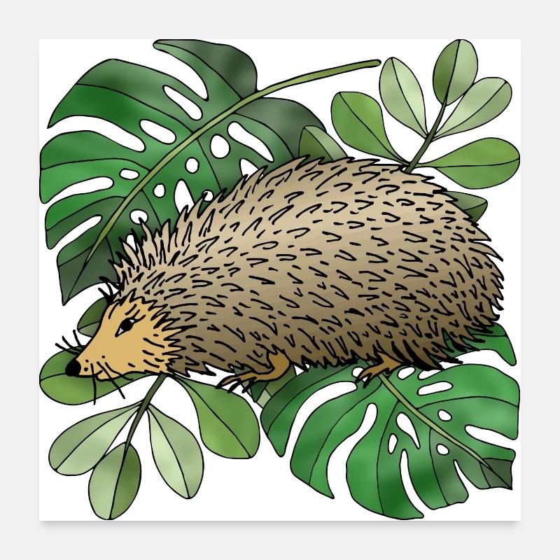 Hedgehog Poster 24" x 24" (60x60 cm)