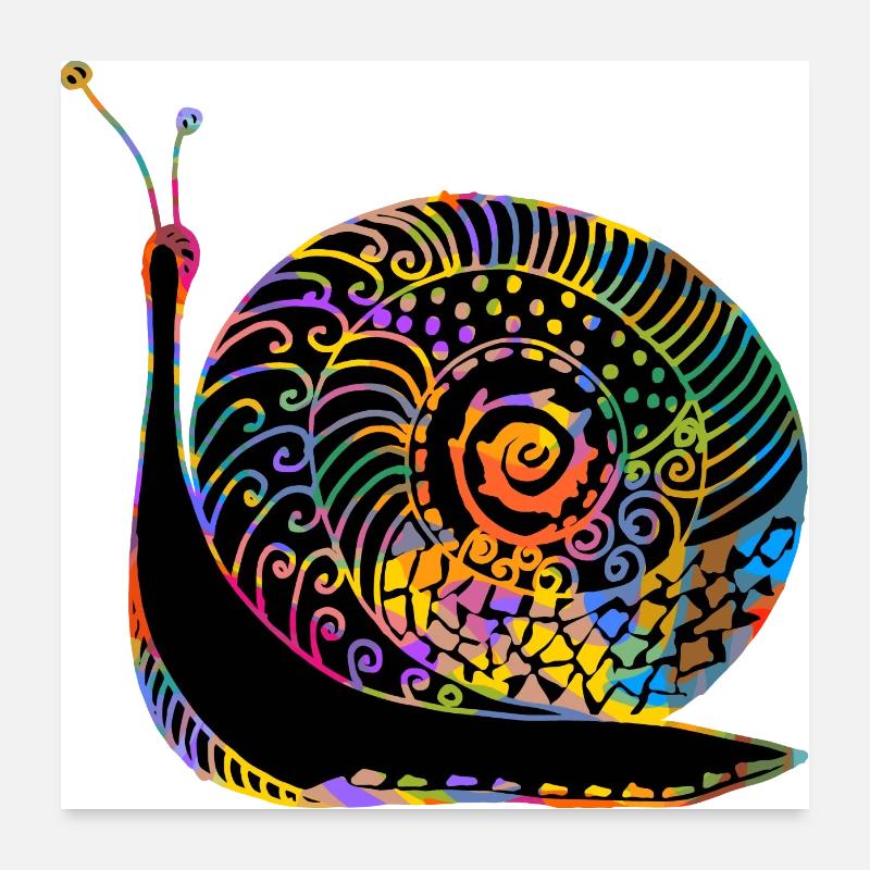 Schnecke - Poster 60x60 cm - Weiß