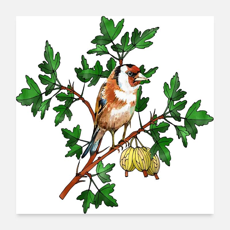 Colorful bird Poster 24" x 24" (60x60 cm)
