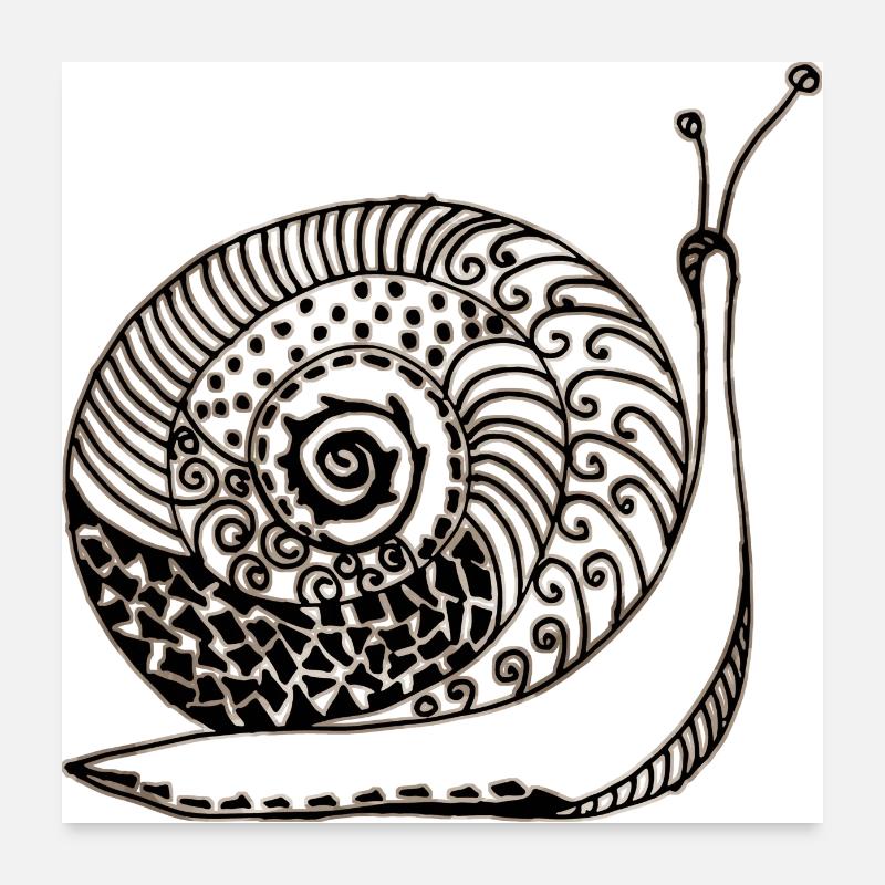 Schnecke Poster 60x60 cm