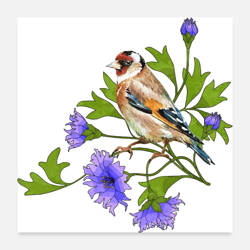 Oiseau coloré Poster 60 x 60 cm