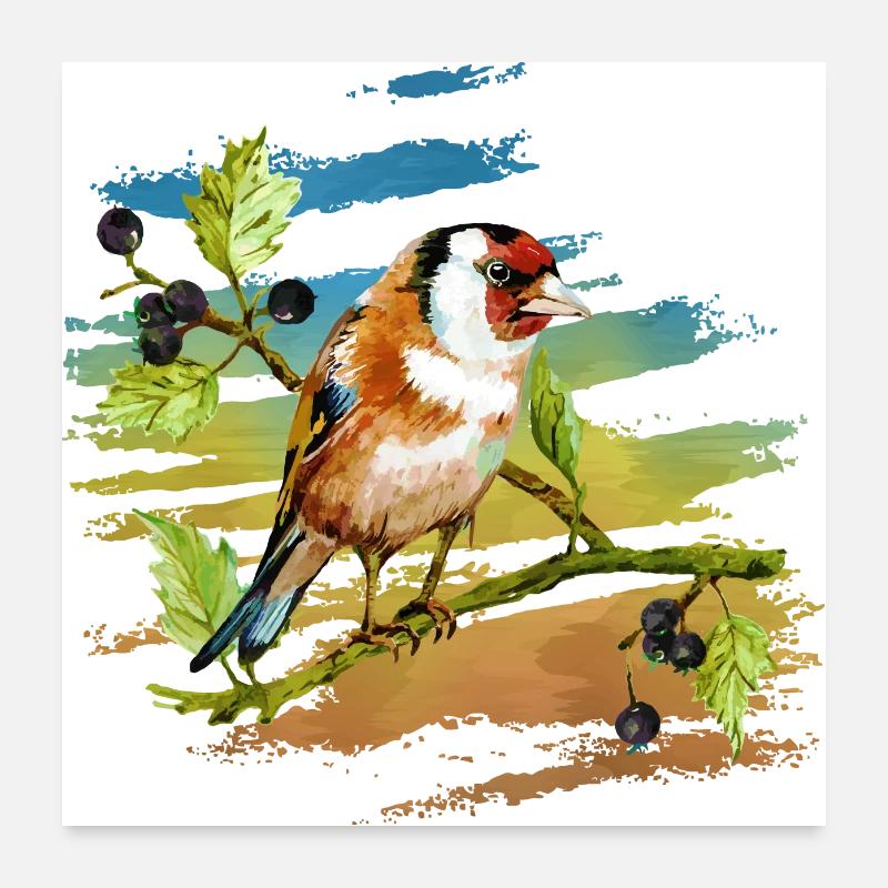 Bunter Vogel Poster 60x60 cm
