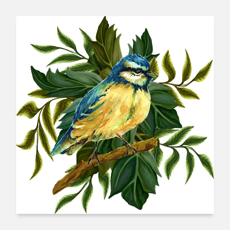 Oiseau coloré Poster 60 x 60 cm