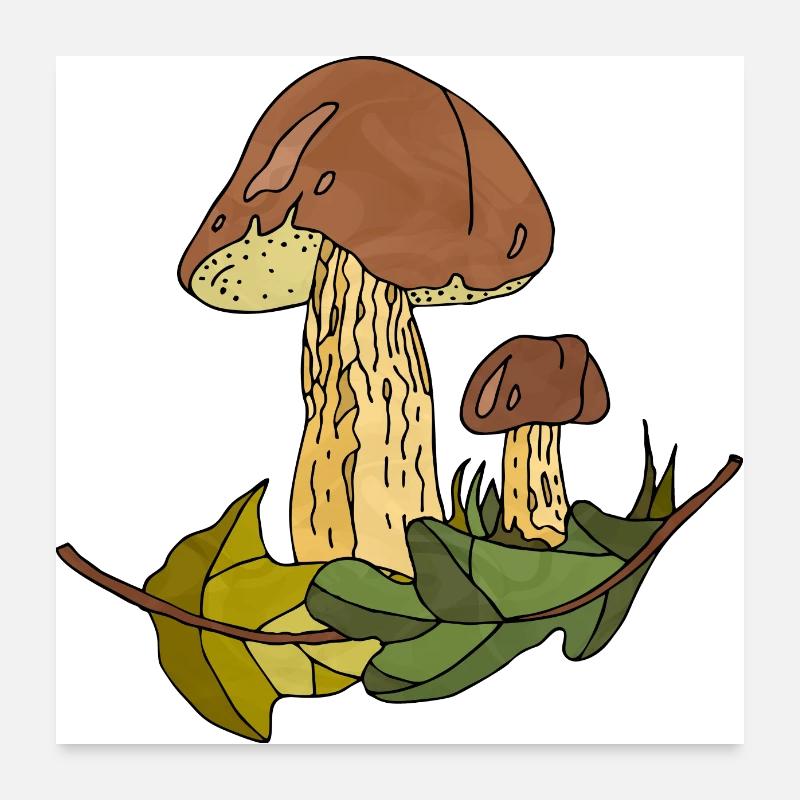 Pilze Poster 60x60 cm