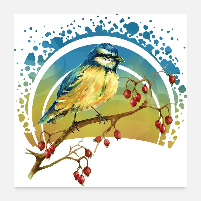 Oiseau coloré Poster 60 x 60 cm
