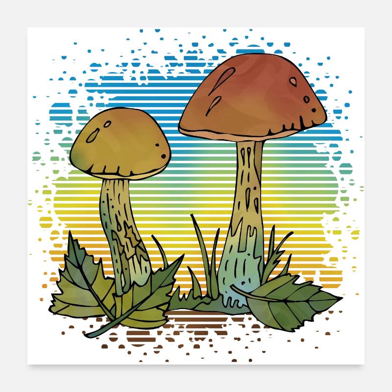 Pilze - Poster 60x60 cm - Weiß