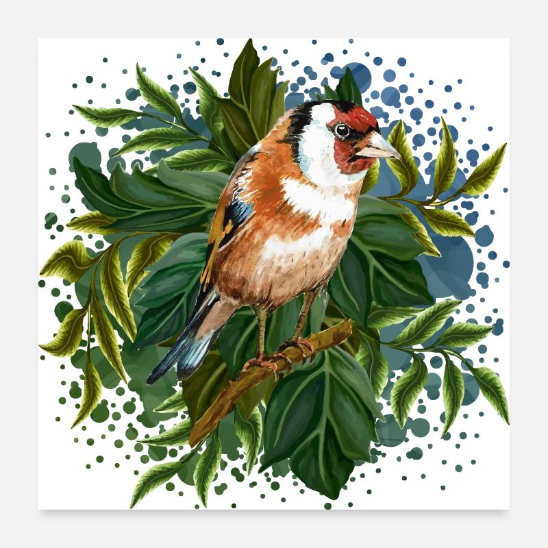 Oiseau coloré Poster 60 x 60 cm