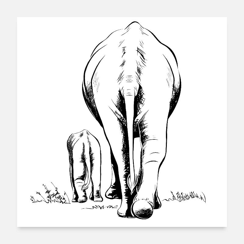 Two Elephants Poster 24" x 24" (60x60 cm)