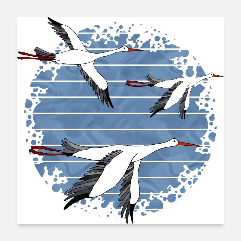 Vögel Poster 60x60 cm