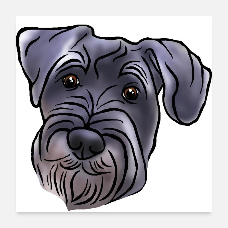 Medium schnauzer head in comic style Poster 24" x 24" (60x60 cm)