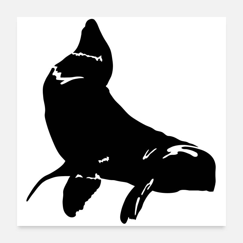 Fur Seal Poster 60 x 60 cm