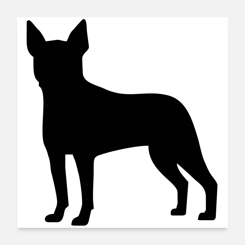 Boston Terrier - Poster 24" x 24" (60x60 cm) - white